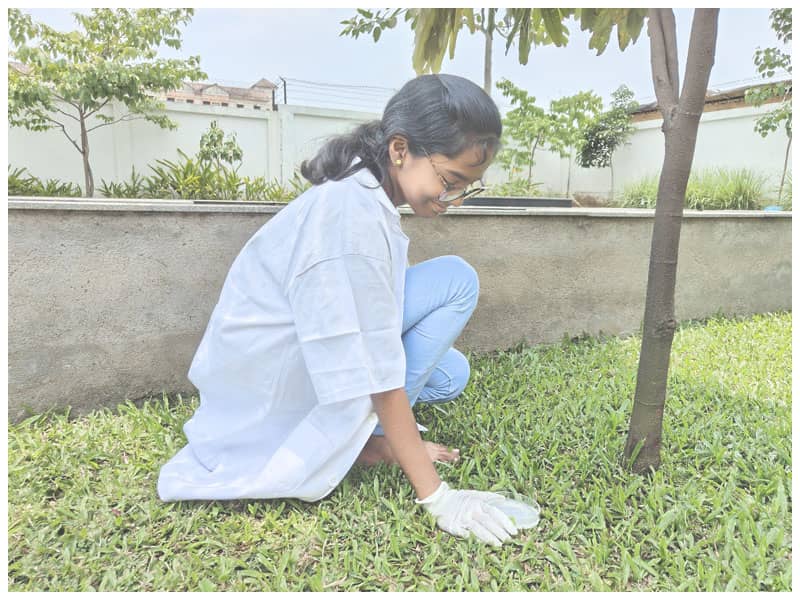 Microbiology--Collecting-bacteria-from-outdoor-area